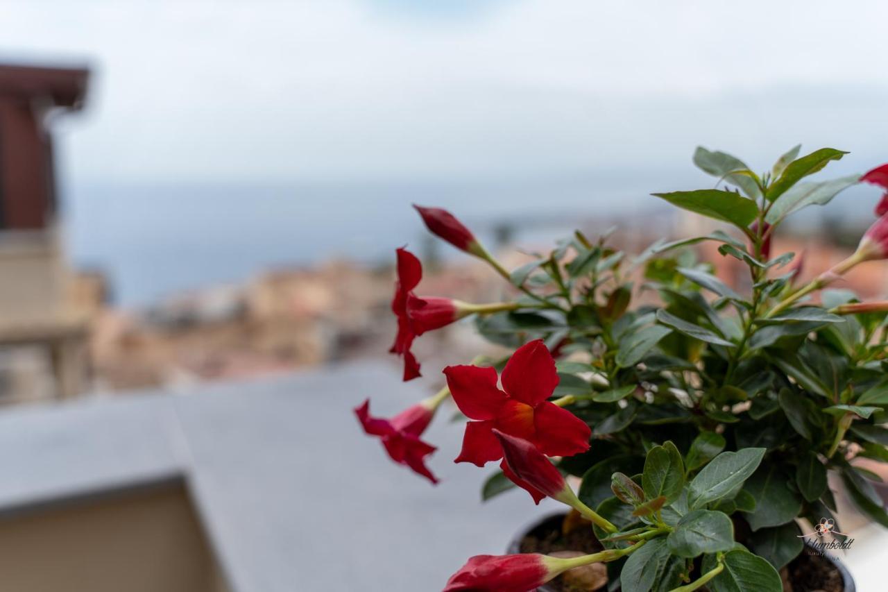 Humboldt Luxury Rooms ตาออร์มินา ภายนอก รูปภาพ